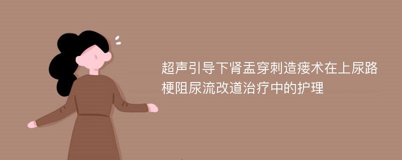 超声引导下肾盂穿刺造瘘术在上尿路梗阻尿流改道治疗中的护理