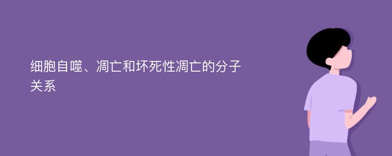 细胞自噬、凋亡和坏死性凋亡的分子关系