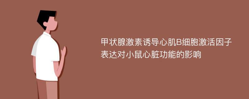 甲状腺激素诱导心肌B细胞激活因子表达对小鼠心脏功能的影响