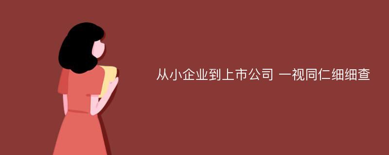 从小企业到上市公司 一视同仁细细查