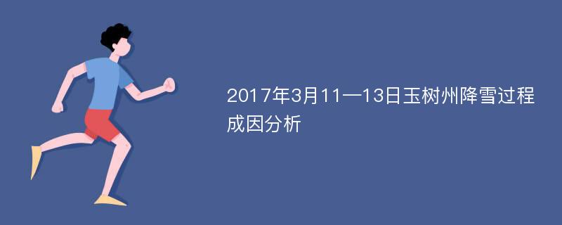 2017年3月11—13日玉树州降雪过程成因分析