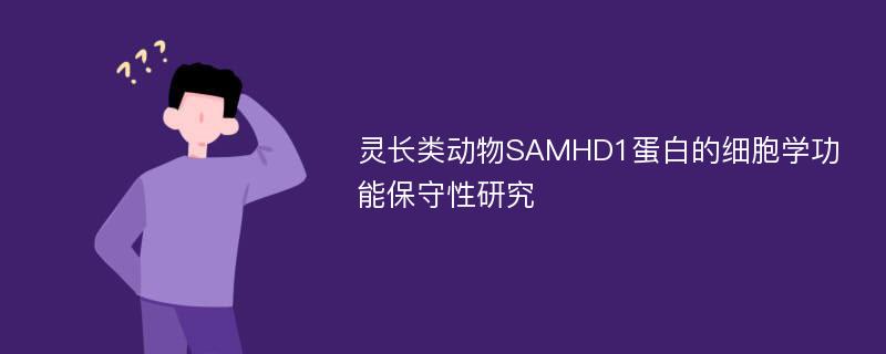 灵长类动物SAMHD1蛋白的细胞学功能保守性研究