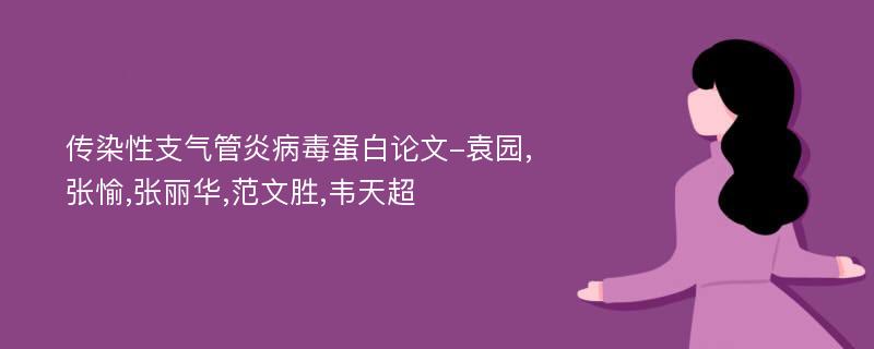 传染性支气管炎病毒蛋白论文-袁园,张愉,张丽华,范文胜,韦天超