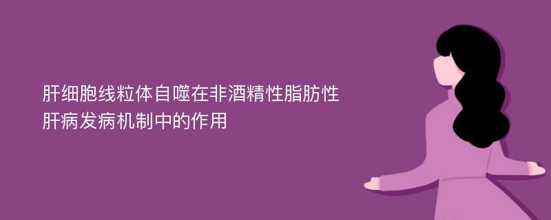 肝细胞线粒体自噬在非酒精性脂肪性肝病发病机制中的作用