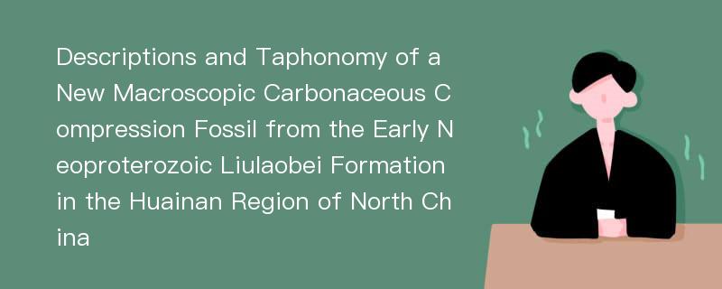 Descriptions and Taphonomy of a New Macroscopic Carbonaceous Compression Fossil from the Early Neoproterozoic Liulaobei Formation in the Huainan Region of North China