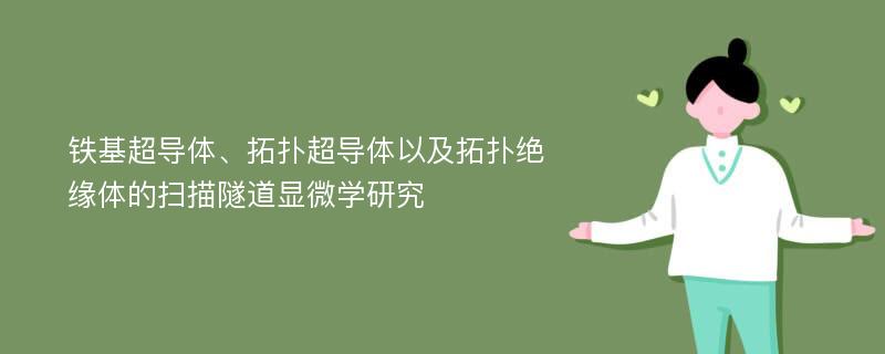 铁基超导体、拓扑超导体以及拓扑绝缘体的扫描隧道显微学研究