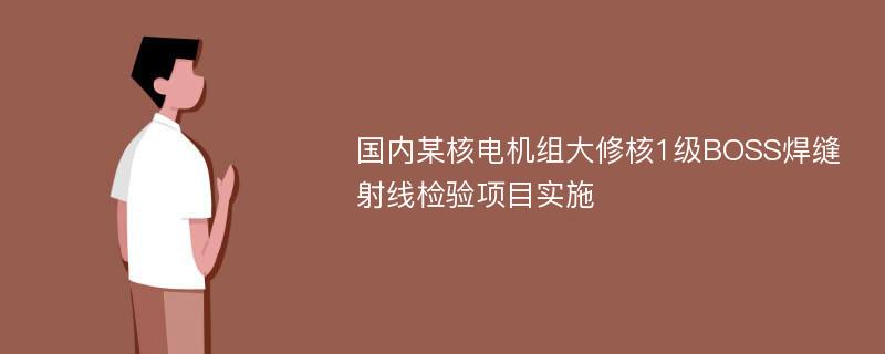 国内某核电机组大修核1级BOSS焊缝射线检验项目实施