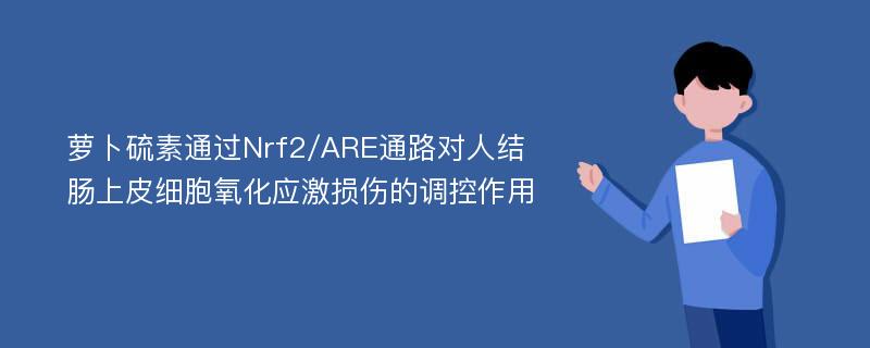 萝卜硫素通过Nrf2/ARE通路对人结肠上皮细胞氧化应激损伤的调控作用