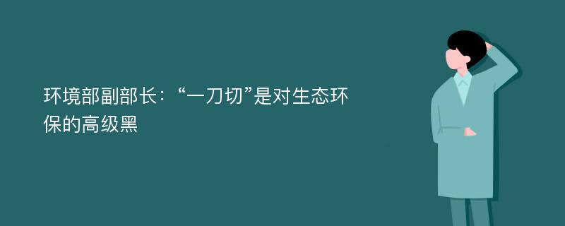 环境部副部长：“一刀切”是对生态环保的高级黑