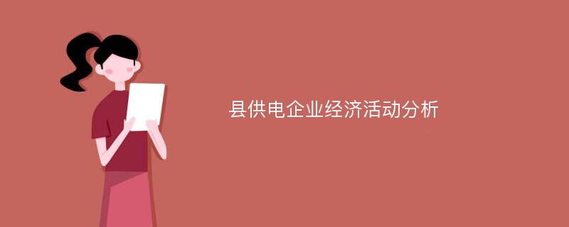 县供电企业经济活动分析