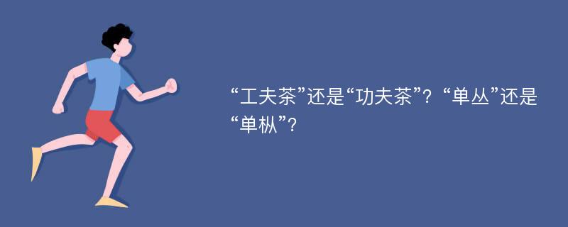 “工夫茶”还是“功夫茶”？“单丛”还是“单枞”？