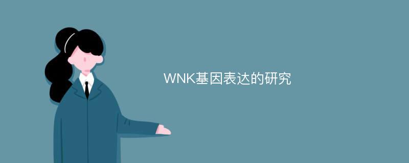 WNK基因表达的研究