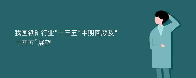 我国铁矿行业“十三五”中期回顾及“十四五”展望