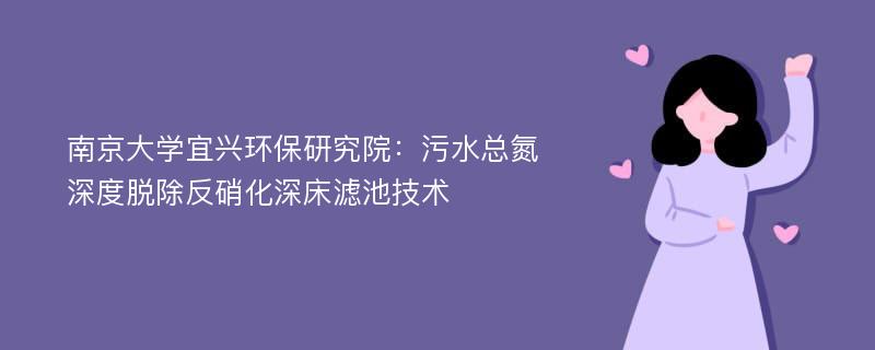 南京大学宜兴环保研究院：污水总氮深度脱除反硝化深床滤池技术