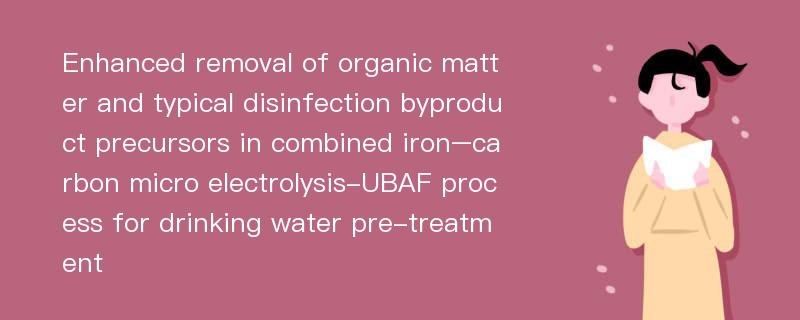 Enhanced removal of organic matter and typical disinfection byproduct precursors in combined iron–carbon micro electrolysis-UBAF process for drinking water pre-treatment