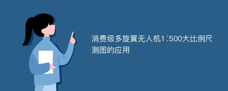 消费级多旋翼无人机1∶500大比例尺测图的应用