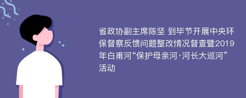 省政协副主席陈坚 到毕节开展中央环保督察反馈问题整改情况督查暨2019年白甫河“保护母亲河·河长大巡河”活动