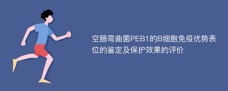 空肠弯曲菌PEB1的B细胞免疫优势表位的鉴定及保护效果的评价