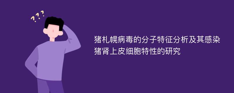 猪札幌病毒的分子特征分析及其感染猪肾上皮细胞特性的研究