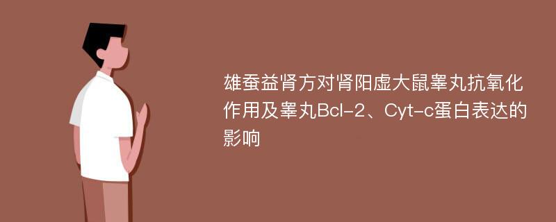 雄蚕益肾方对肾阳虚大鼠睾丸抗氧化作用及睾丸Bcl-2、Cyt-c蛋白表达的影响