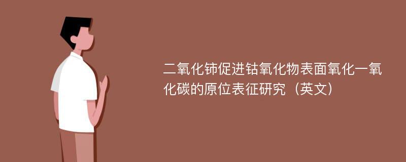 二氧化铈促进钴氧化物表面氧化一氧化碳的原位表征研究（英文）