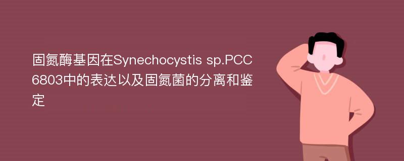 固氮酶基因在Synechocystis sp.PCC6803中的表达以及固氮菌的分离和鉴定