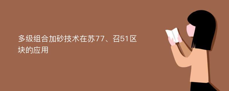 多级组合加砂技术在苏77、召51区块的应用