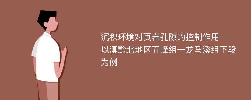 沉积环境对页岩孔隙的控制作用——以滇黔北地区五峰组—龙马溪组下段为例