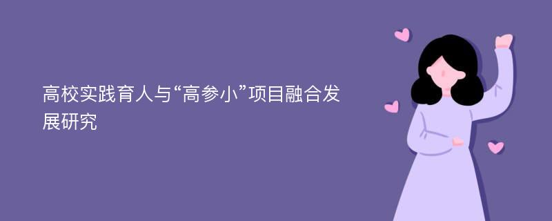 高校实践育人与“高参小”项目融合发展研究