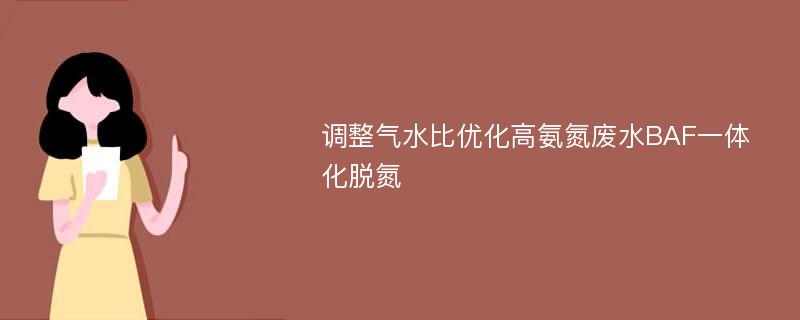 调整气水比优化高氨氮废水BAF一体化脱氮