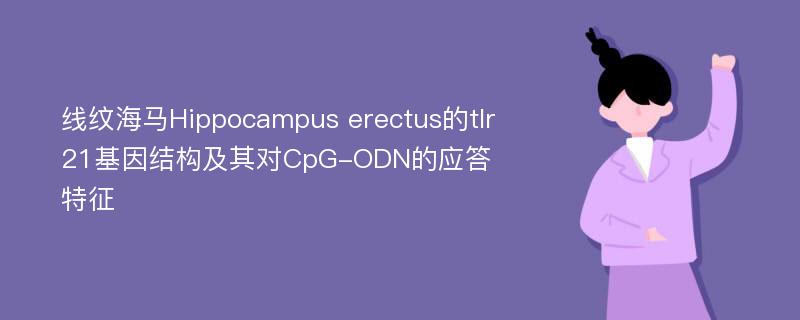 线纹海马Hippocampus erectus的tlr21基因结构及其对CpG-ODN的应答特征