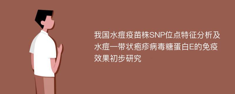 我国水痘疫苗株SNP位点特征分析及水痘—带状疱疹病毒糖蛋白E的免疫效果初步研究