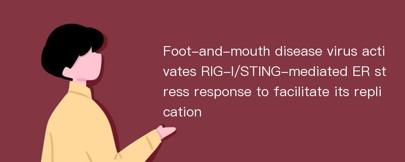 Foot-and-mouth disease virus activates RIG-I/STING-mediated ER stress response to facilitate its replication