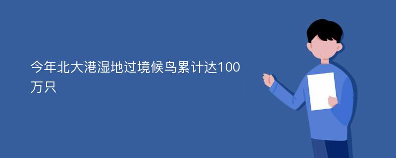 今年北大港湿地过境候鸟累计达100万只