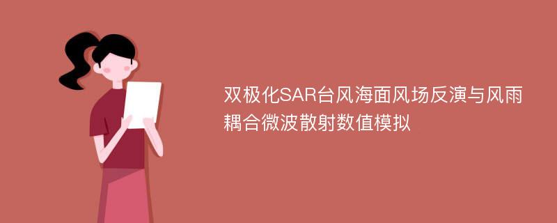 双极化SAR台风海面风场反演与风雨耦合微波散射数值模拟