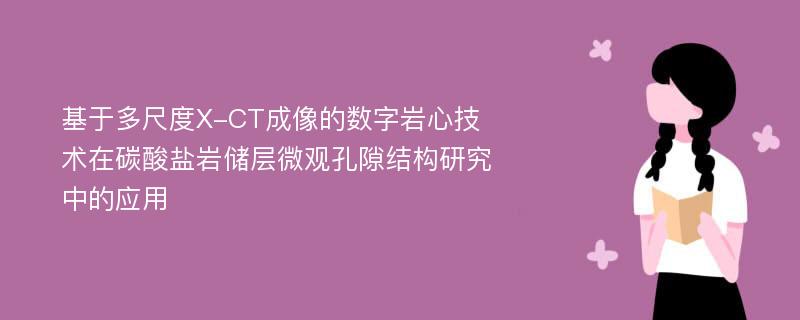 基于多尺度X-CT成像的数字岩心技术在碳酸盐岩储层微观孔隙结构研究中的应用