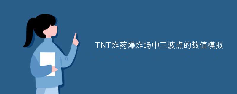 TNT炸药爆炸场中三波点的数值模拟