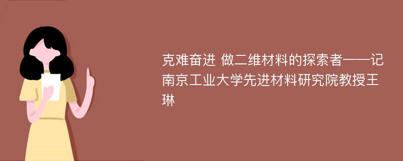 克难奋进 做二维材料的探索者——记南京工业大学先进材料研究院教授王琳