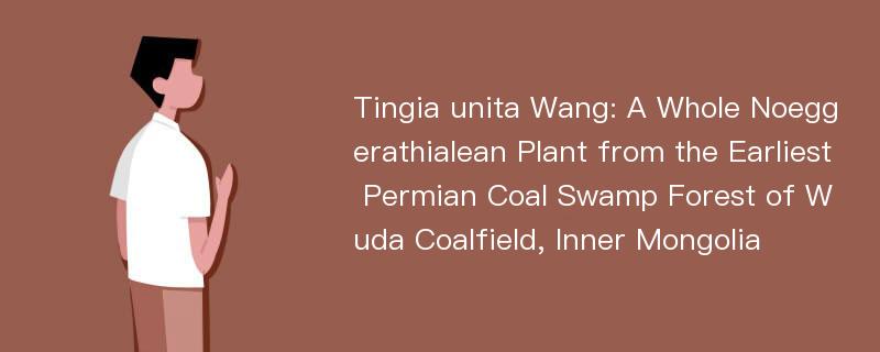 Tingia unita Wang: A Whole Noeggerathialean Plant from the Earliest Permian Coal Swamp Forest of Wuda Coalfield, Inner Mongolia