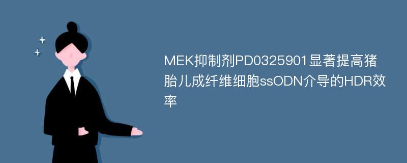 MEK抑制剂PD0325901显著提高猪胎儿成纤维细胞ssODN介导的HDR效率