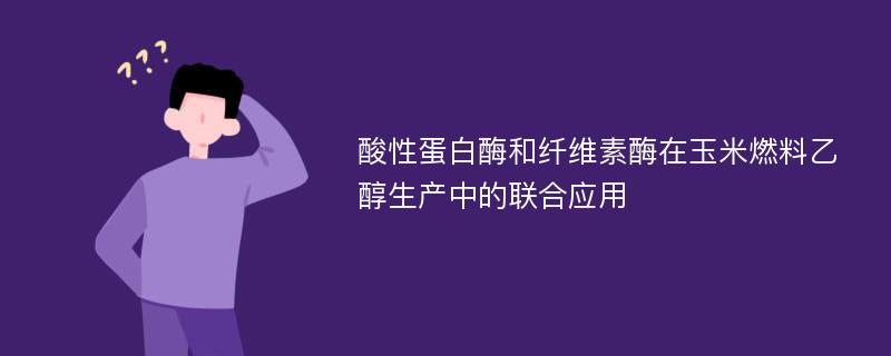 酸性蛋白酶和纤维素酶在玉米燃料乙醇生产中的联合应用