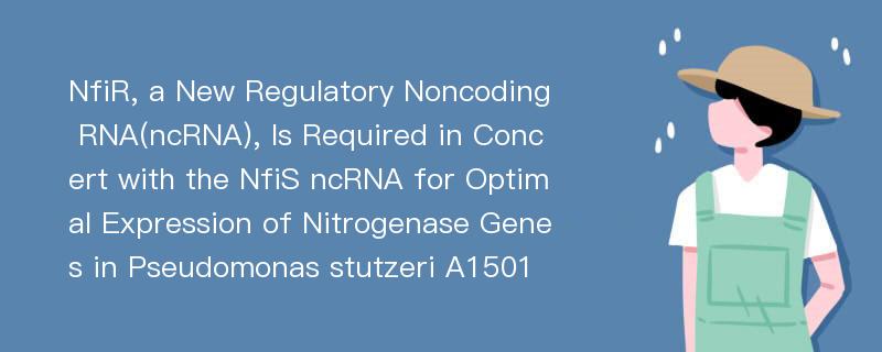 NfiR, a New Regulatory Noncoding RNA(ncRNA), Is Required in Concert with the NfiS ncRNA for Optimal Expression of Nitrogenase Genes in Pseudomonas stutzeri A1501