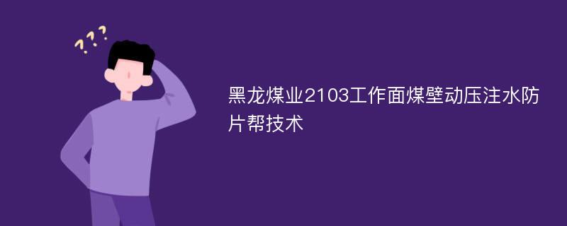 黑龙煤业2103工作面煤壁动压注水防片帮技术