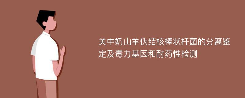 关中奶山羊伪结核棒状杆菌的分离鉴定及毒力基因和耐药性检测