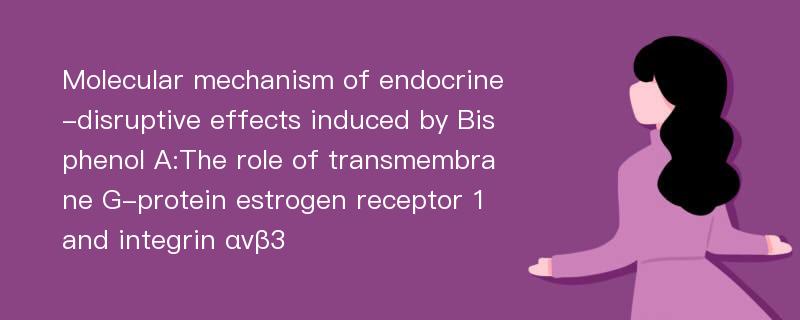 Molecular mechanism of endocrine-disruptive effects induced by Bisphenol A:The role of transmembrane G-protein estrogen receptor 1 and integrin αvβ3