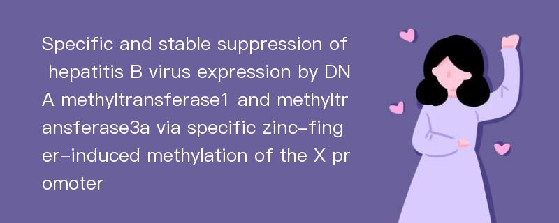 Specific and stable suppression of hepatitis B virus expression by DNA methyltransferase1 and methyltransferase3a via specific zinc-finger-induced methylation of the X promoter