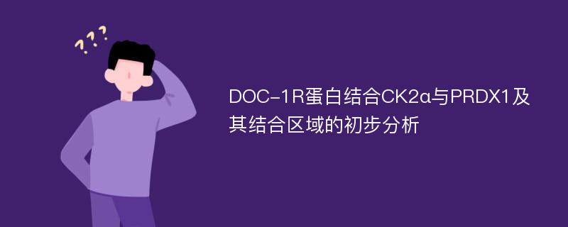 DOC-1R蛋白结合CK2α与PRDX1及其结合区域的初步分析