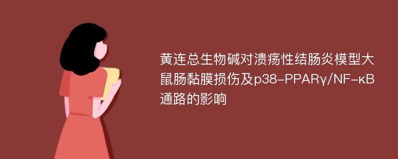 黄连总生物碱对溃疡性结肠炎模型大鼠肠黏膜损伤及p38-PPARγ/NF-κB通路的影响