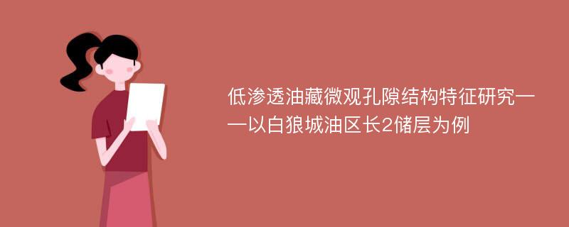 低渗透油藏微观孔隙结构特征研究——以白狼城油区长2储层为例