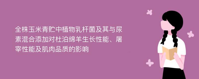 全株玉米青贮中植物乳杆菌及其与尿素混合添加对杜泊绵羊生长性能、屠宰性能及肌肉品质的影响